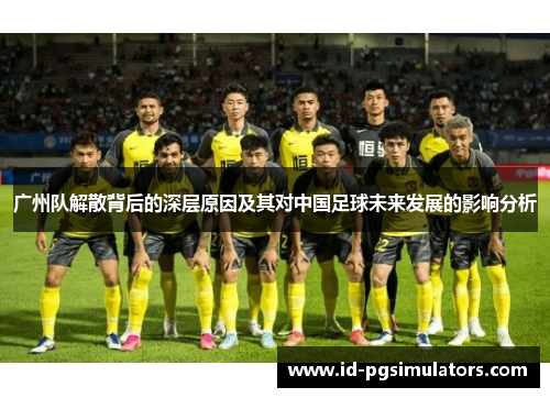 广州队解散背后的深层原因及其对中国足球未来发展的影响分析