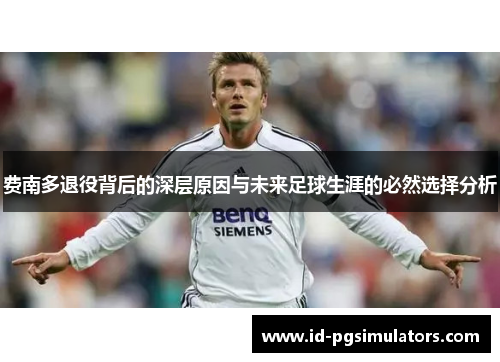 费南多退役背后的深层原因与未来足球生涯的必然选择分析 费南多退役背后的深层原因与未来足球生涯的必然选择分析