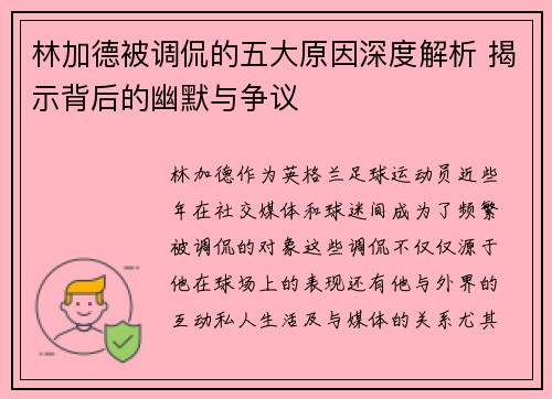 林加德被调侃的五大原因深度解析 揭示背后的幽默与争议 林加德被调侃的五大原因深度解析 揭示背后的幽默与争议
