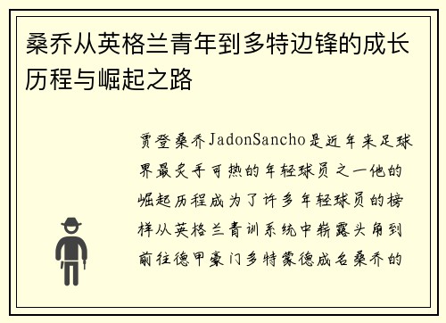 桑乔从英格兰青年到多特边锋的成长历程与崛起之路